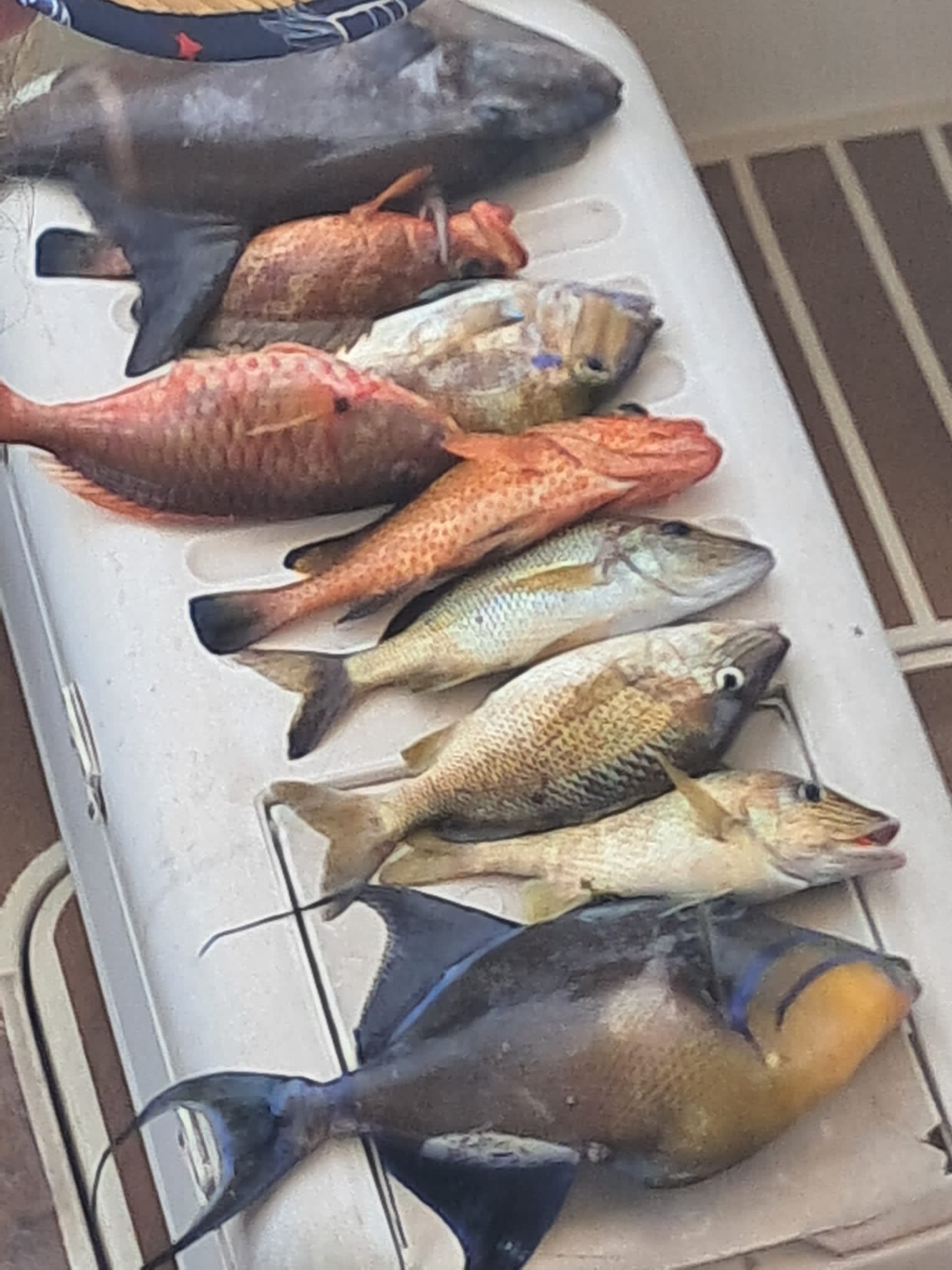 Family members smiling on deck with fishing rods
